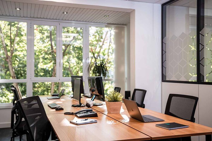 zona con planta y portatil
